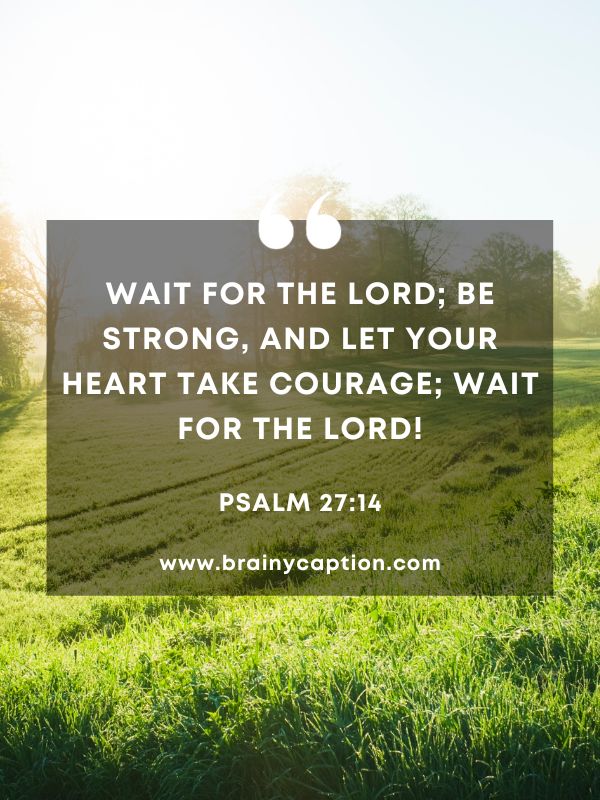Verses Of The Day February 11- Wait for the Lord; be strong, and let your heart take courage; wait for the Lord!