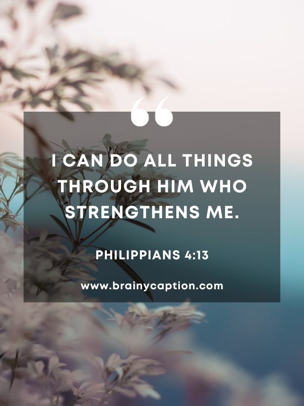 Verses Of The Day February 13- I can do all things through him who strengthens me.