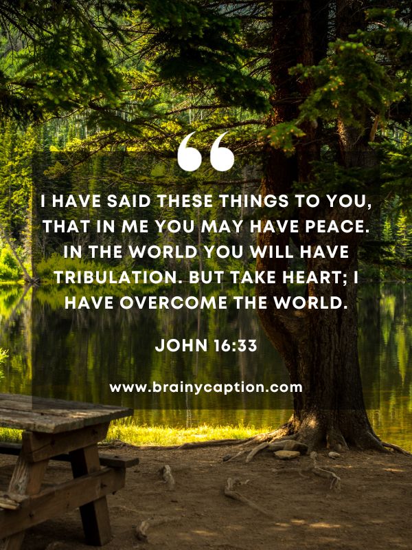 Verses Of The Day February 14- I have said these things to you, that in me you may have peace. In the world you will have tribulation. But take heart; I have overcome the world.