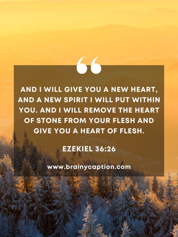 Verses Of The Day February 16- And I will give you a new heart, and a new spirit I will put within you. And I will remove the heart of stone from your flesh and give you a heart of flesh.