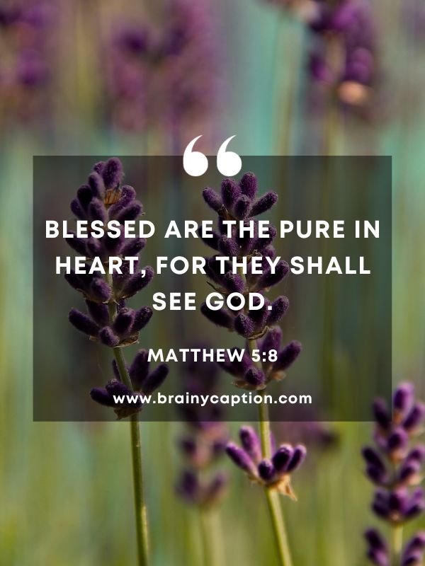 Verses Of The Day February 18- Blessed are the pure in heart, for they shall see God.