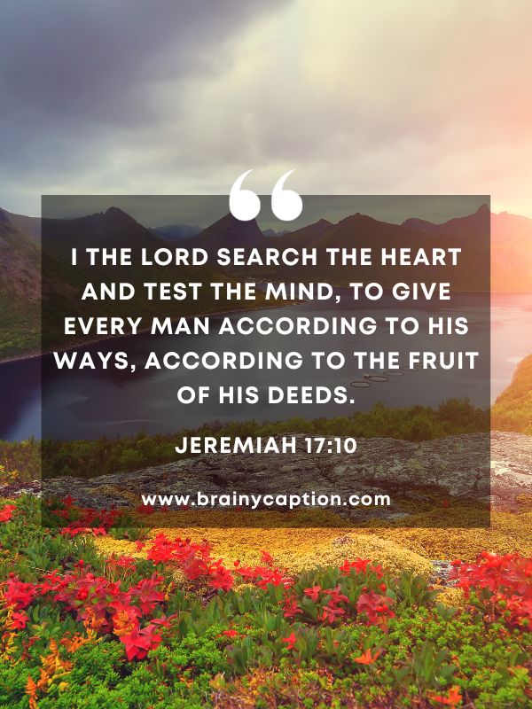 Verses Of The Day February 19- I the Lord search the heart and test the mind, to give every man according to his ways, according to the fruit of his deeds.