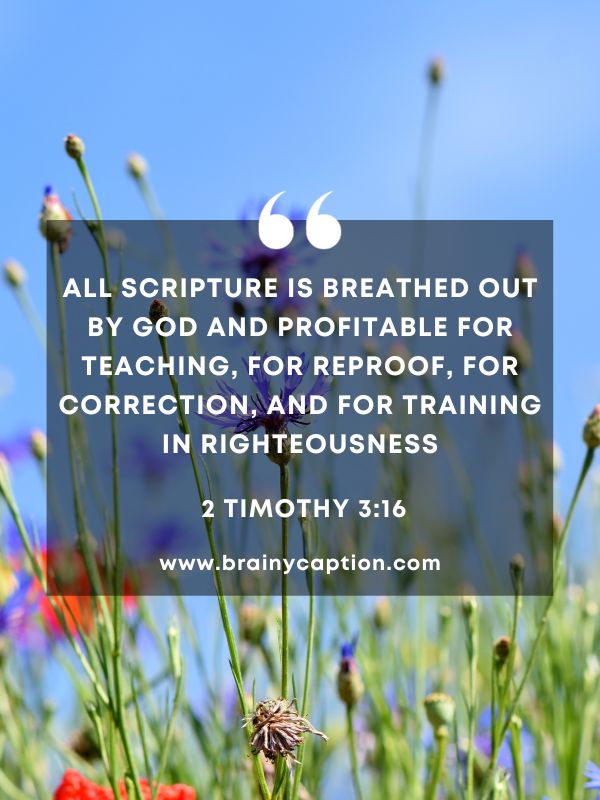 Verses Of The Day February 24- All Scripture is breathed out by God and profitable for teaching, for reproof, for correction, and for training in righteousness.