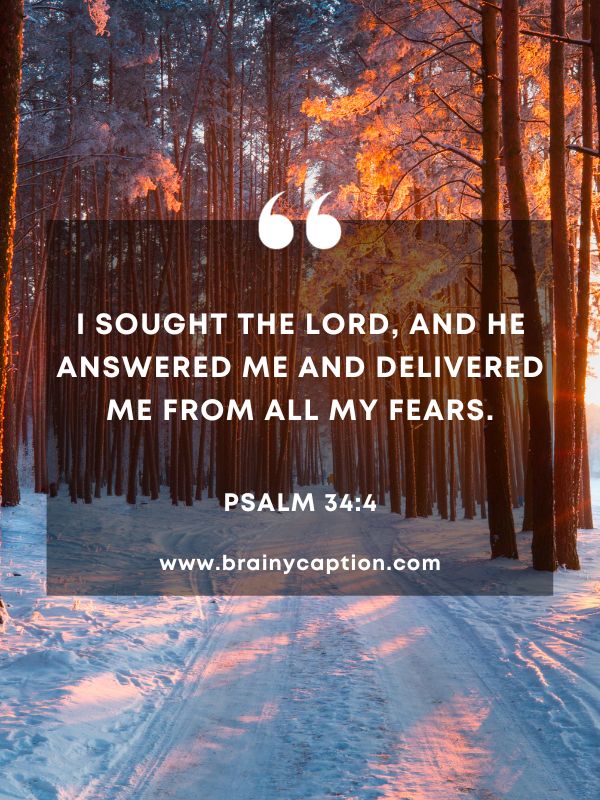 Verses Of The Day February 4- I sought the Lord, and he answered me and delivered me from all my fears.