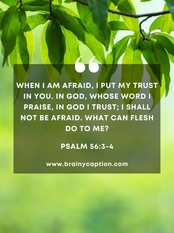 Verses Of The Day February 6- When I am afraid, I put my trust in you. In God, whose word I praise, in God I trust; I shall not be afraid. What can flesh do to me?