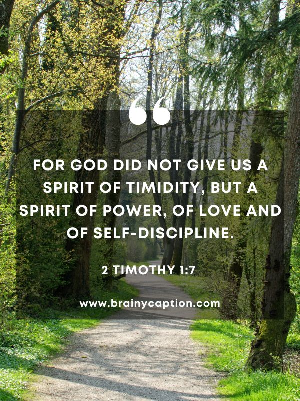 Verse Of The Day March 17- For God did not give us a spirit of timidity, but a spirit of power, of love and of self-discipline.