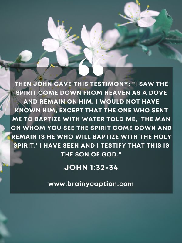 Verse Of The Day March 19- Then John gave this testimony: "I saw the Spirit come down from heaven as a dove and remain on him. I would not have known him, except that the one who sent me to baptize with water told me, 'The man on whom you see the Spirit come down and remain is he who will baptize with the Holy Spirit.' I have seen and I testify that this is the Son of God."