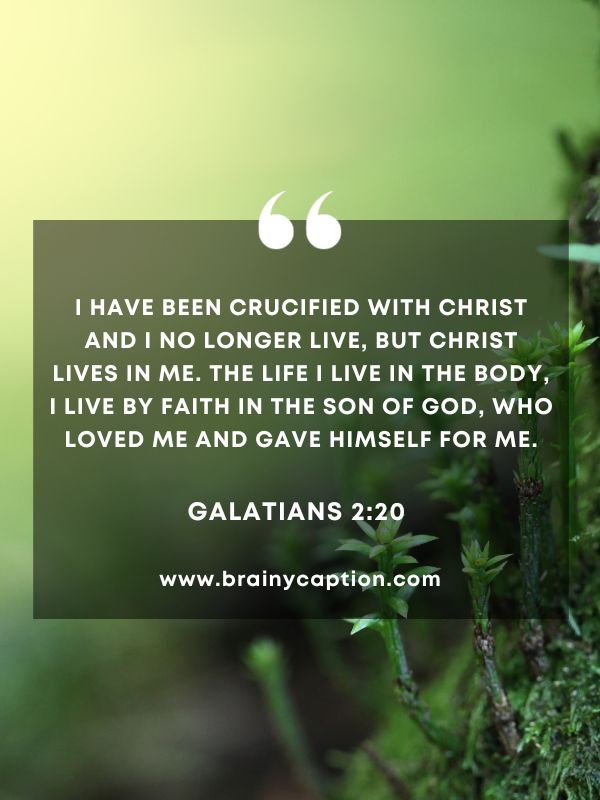 Verse Of The Day March 2- I have been crucified with Christ and I no longer live, but Christ lives in me. The life I live in the body, I live by faith in the Son of God, who loved me and gave himself for me.