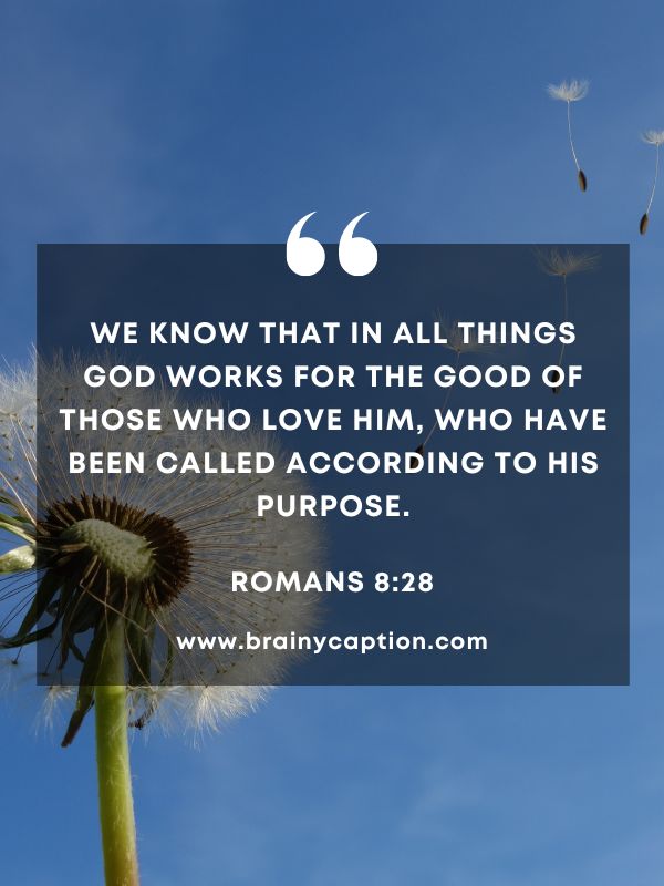 Verse Of The Day March 27- We know that in all things God works for the good of those who love him, who have been called according to his purpose.