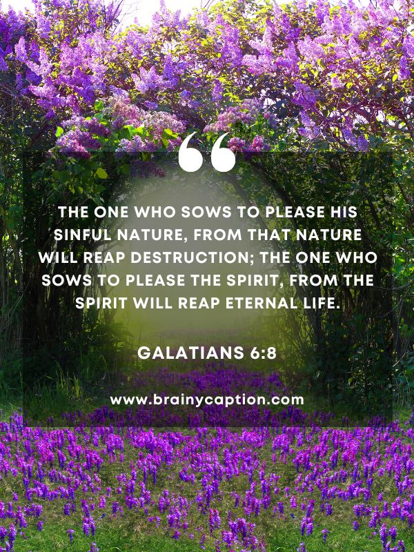 Verse of the Day March 30- The one who sows to please his sinful nature, from that nature will reap destruction; the one who sows to please the Spirit, from the Spirit will reap eternal life.