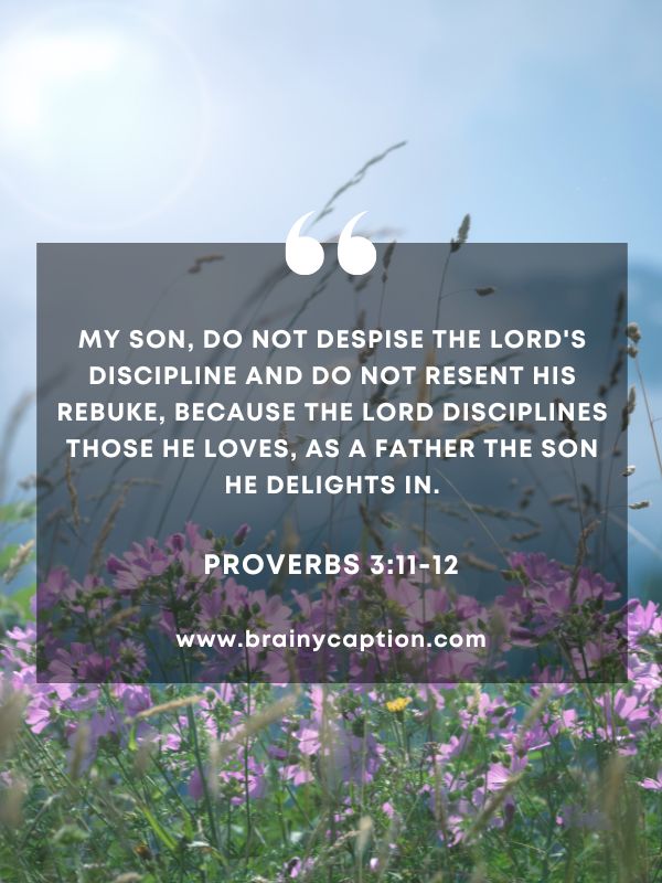 Verses Of The Day March 31- My son, do not despise the LORD's discipline and do not resent his rebuke, because the LORD disciplines those he loves, as a father the son he delights in.