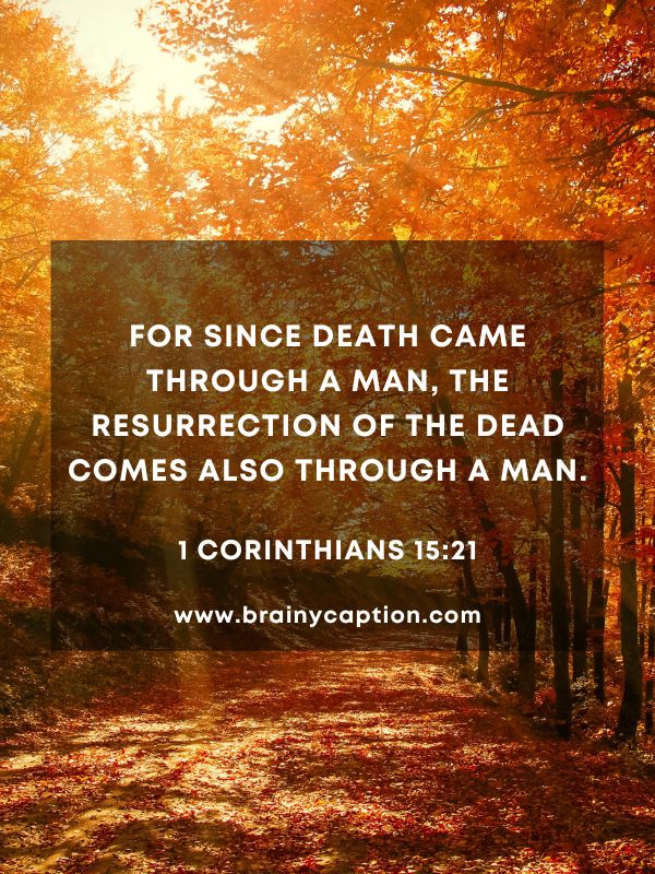 Verse Of The Day 11 January- Explore the profound wisdom and inspiration found in the Verses of the Day for January 11th. Delve into meaningful reflections and spiritual insights