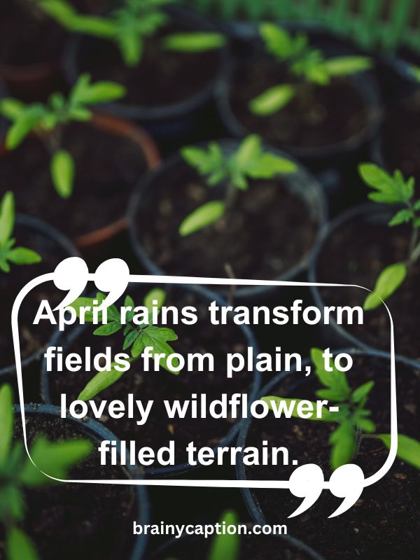 Thought Of The Day April 1- April rains transform fields from plain, to lovely wildflower-filled terrain.