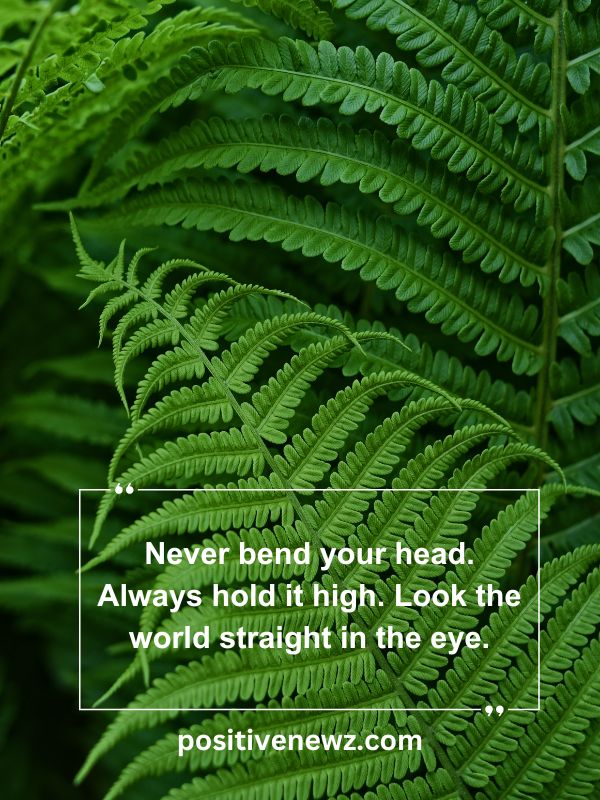 Quote Of The Day May 1- Never bend your head. Always hold it high. Look the world straight in the eye.