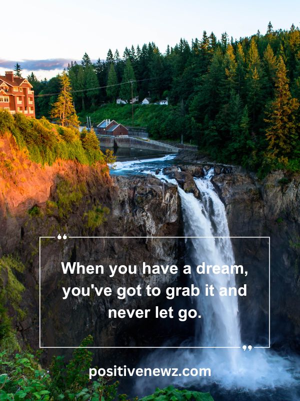 Quote Of The Day May 3- When you have a dream, you've got to grab it and never let go.