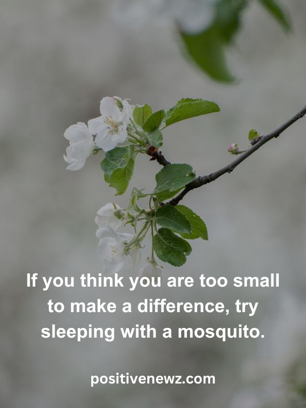 Thought Of The Day May 7- If you think you are too small to make a difference, try sleeping with a mosquito.