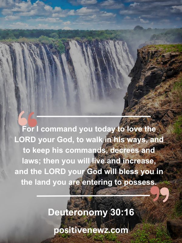 Verse Of The Day May 11- For I command you today to love the LORD your God, to walk in his ways, and to keep his commands, decrees and laws; then you will live and increase, and the LORD your God will bless you in the land you are entering to possess.