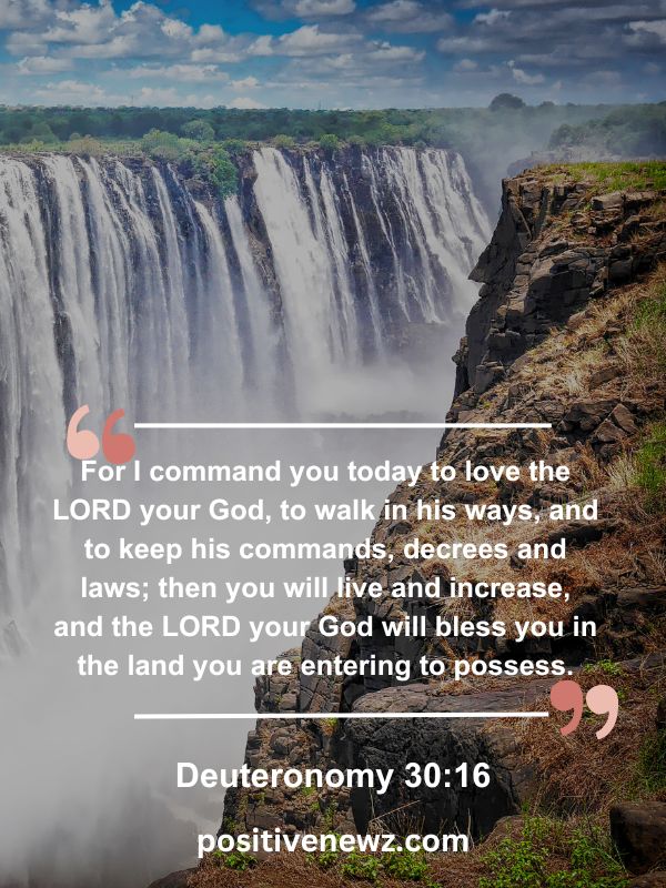 Verse Of The Day May 11- For I command you today to love the LORD your God, to walk in his ways, and to keep his commands, decrees and laws; then you will live and increase, and the LORD your God will bless you in the land you are entering to possess.