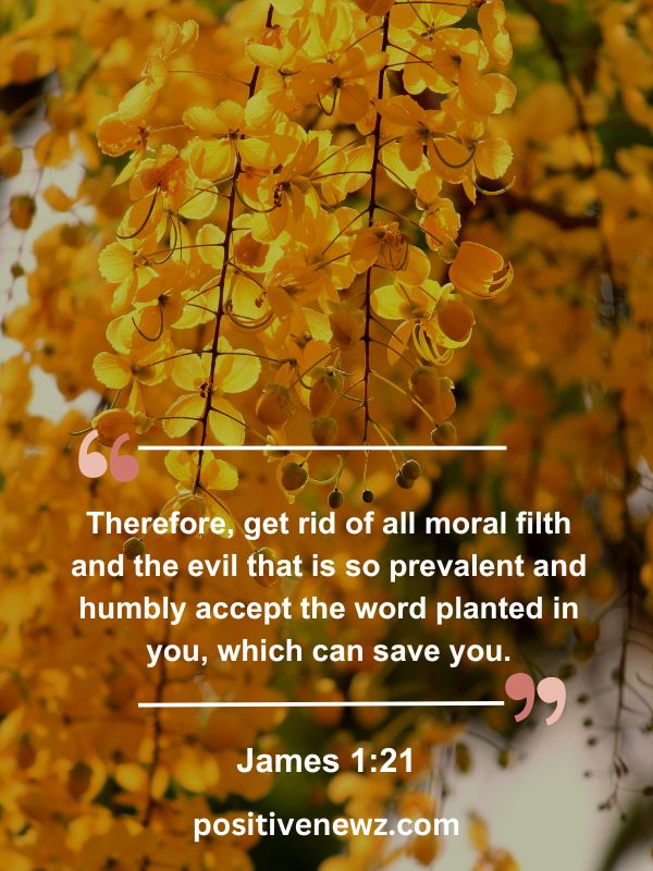 Verse Of The Day May 15- Therefore, get rid of all moral filth and the evil that is so prevalent and humbly accept the word planted in you, which can save you.