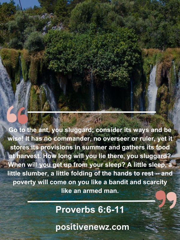 Verse Of The Day May 17- Go to the ant, you sluggard; consider its ways and be wise! It has no commander, no overseer or ruler, yet it stores its provisions in summer and gathers its food at harvest. How long will you lie there, you sluggard? When will you get up from your sleep? A little sleep, a little slumber, a little folding of the hands to rest -- and poverty will come on you like a bandit and scarcity like an armed man.