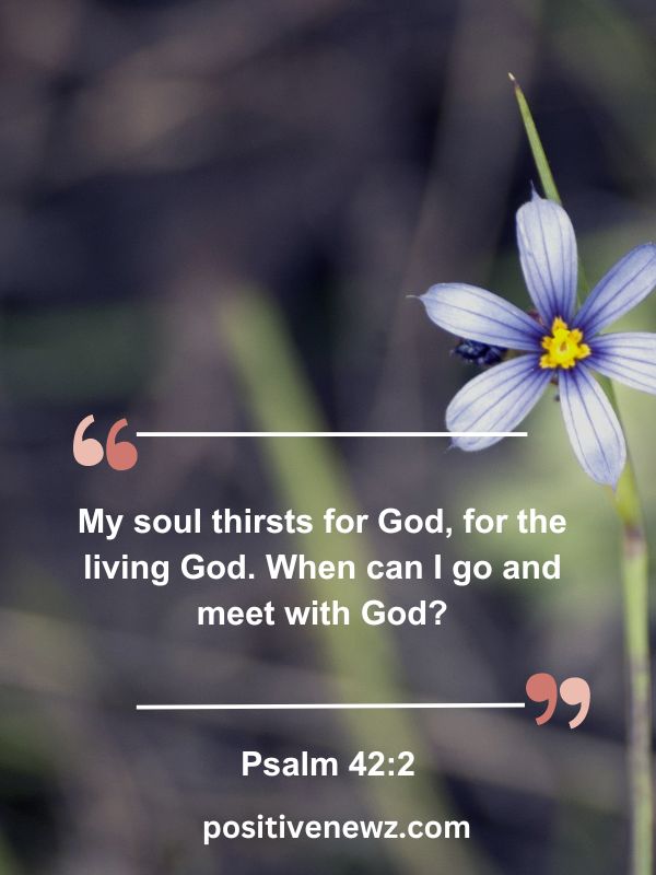 Verse Of The Day May 19- My soul thirsts for God, for the living God. When can I go and meet with God?