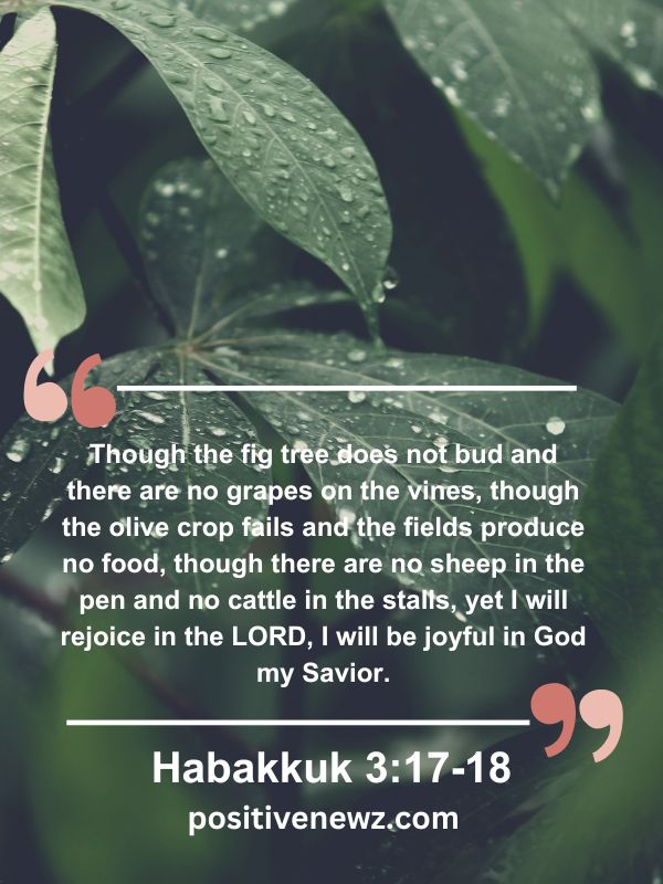 Verse Of The Day May 3 - Though the fig tree does not bud and there are no grapes on the vines, though the olive crop fails and the fields produce no food, though there are no sheep in the pen and no cattle in the stalls, yet I will rejoice in the LORD, I will be joyful in God my Savior.