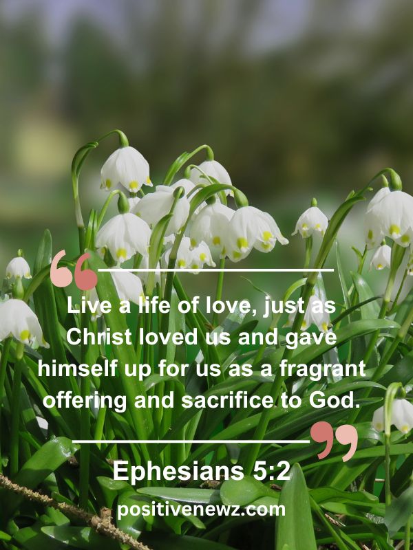 Verse Of The Day May 5- Live a life of love, just as Christ loved us and gave himself up for us as a fragrant offering and sacrifice to God.