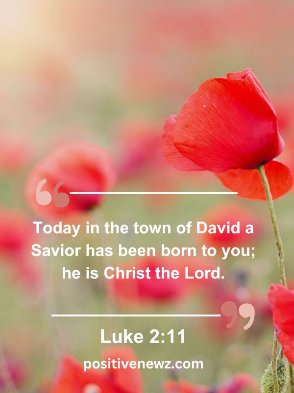 Verse Of The Day May 6- Today in the town of David a Savior has been born to you; he is Christ the Lord.