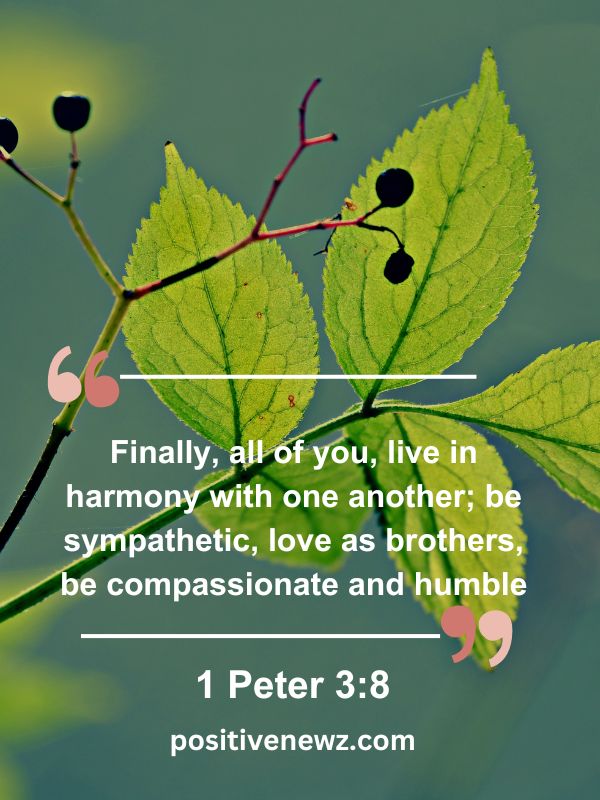 Verse Of The Day May 9- Finally, all of you, live in harmony with one another; be sympathetic, love as brothers, be compassionate and humble